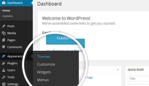 Install WordPress theme