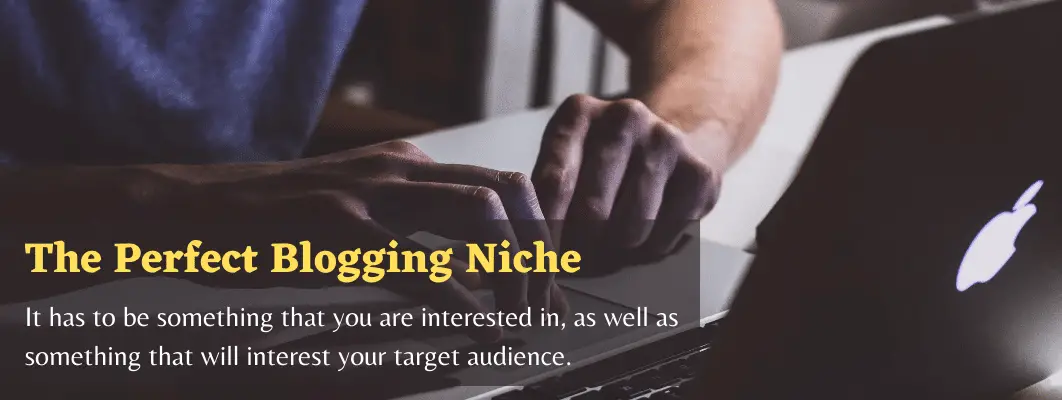 The Perfect Blogging Niche