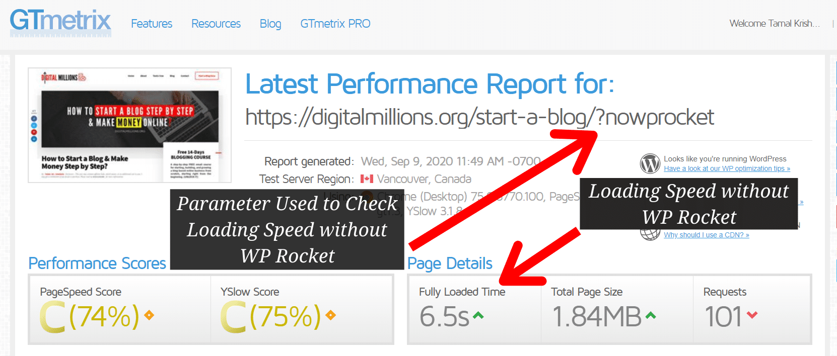 GTMetrix Results without WP Rocket