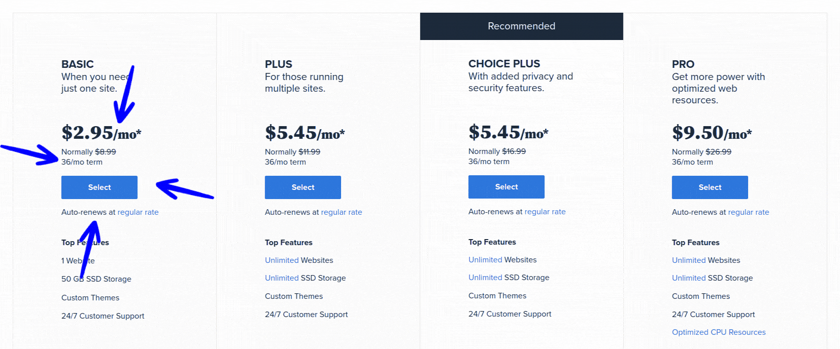 Bluehost Hosting Packages