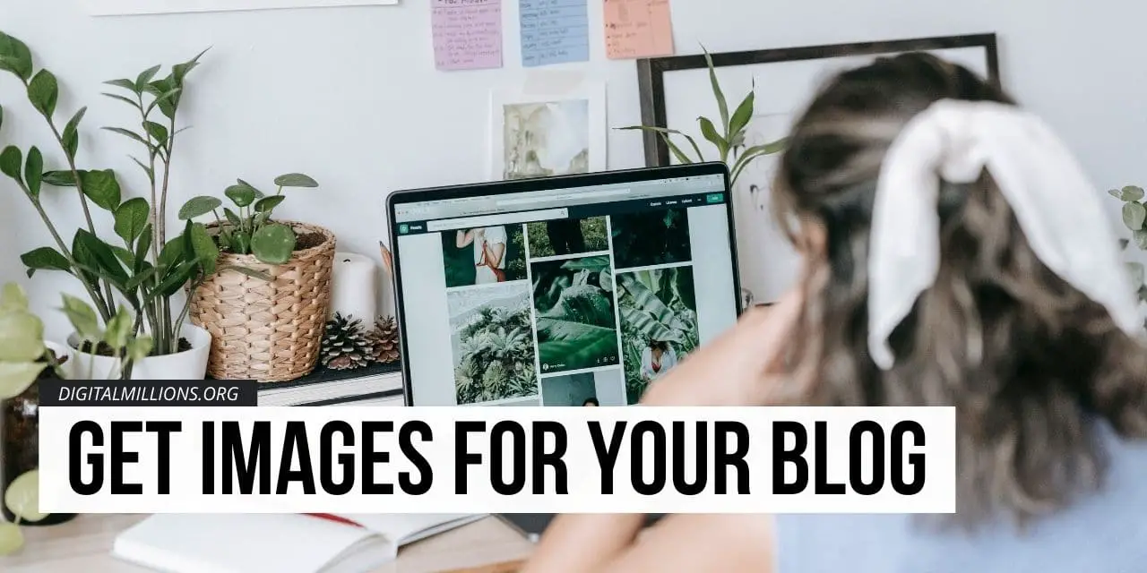 How to Get Royalty-free Legal Images for Your Blog? [11 Best Sites]