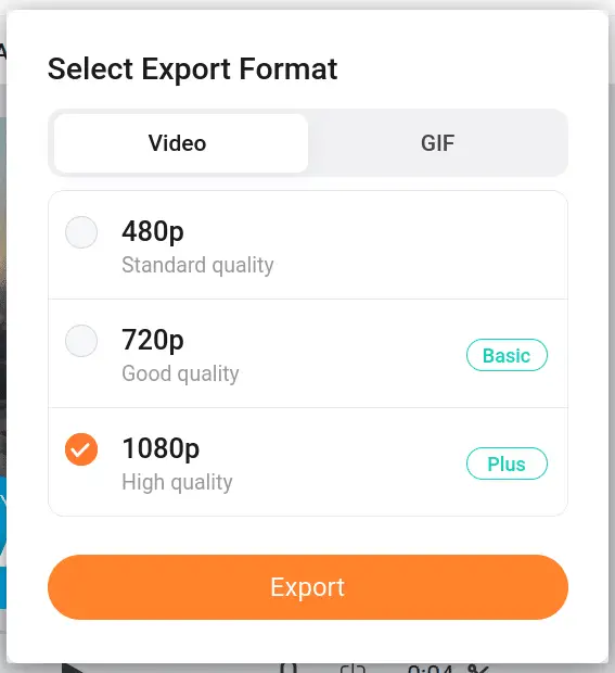 Flexclip Export Options